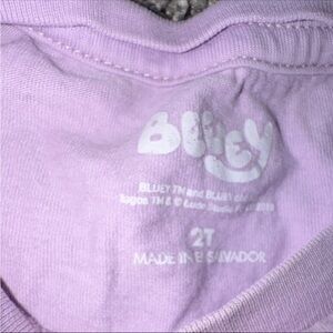 Bluely Girls' Short Sleeve Tee in Light Lavender - 2T